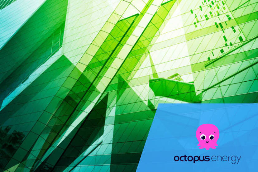 Octopus Energy Business Case Study - featured image