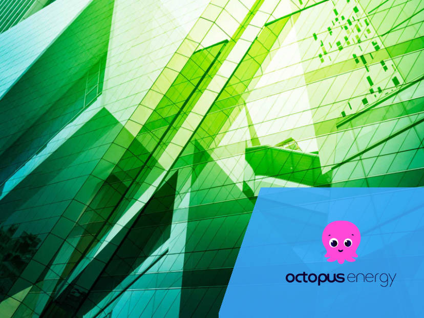 Octopus Energy Business Case Study - featured image